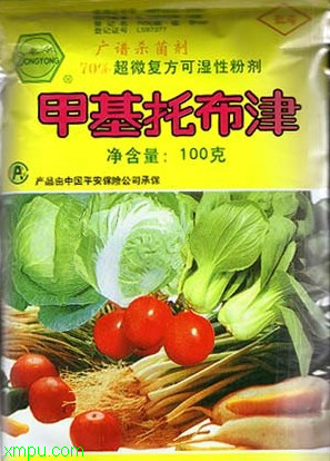 山野菜图片