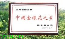 向日葵什么季节