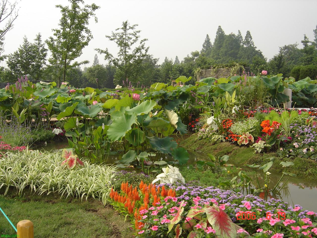 种花用什么土壤最合适