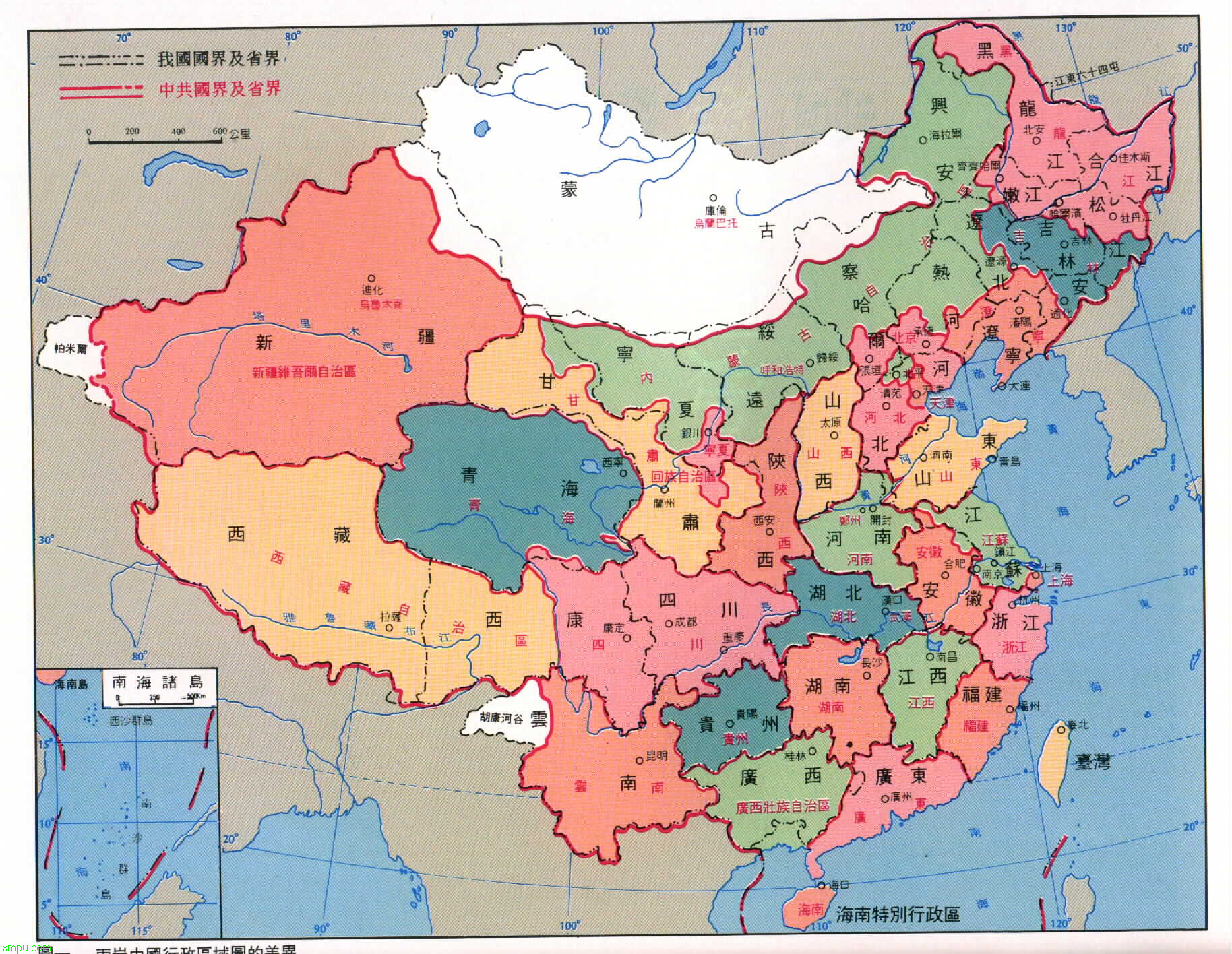 50公分朴树价格表