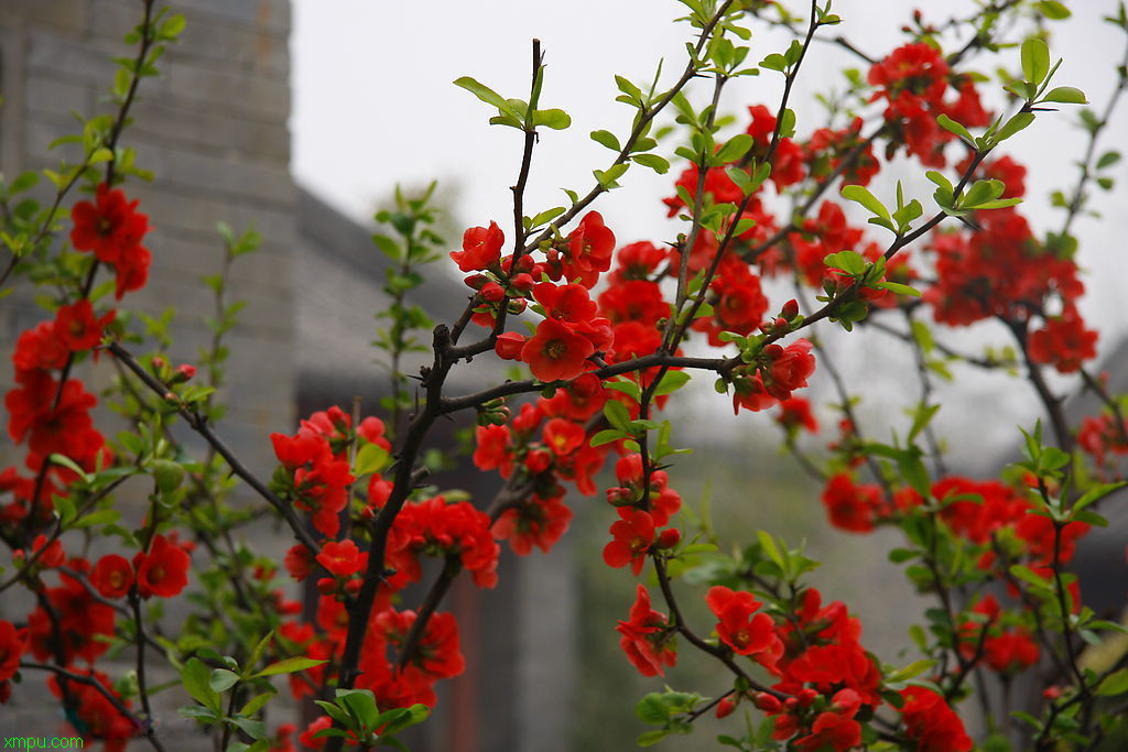 种花用什么土壤最合适