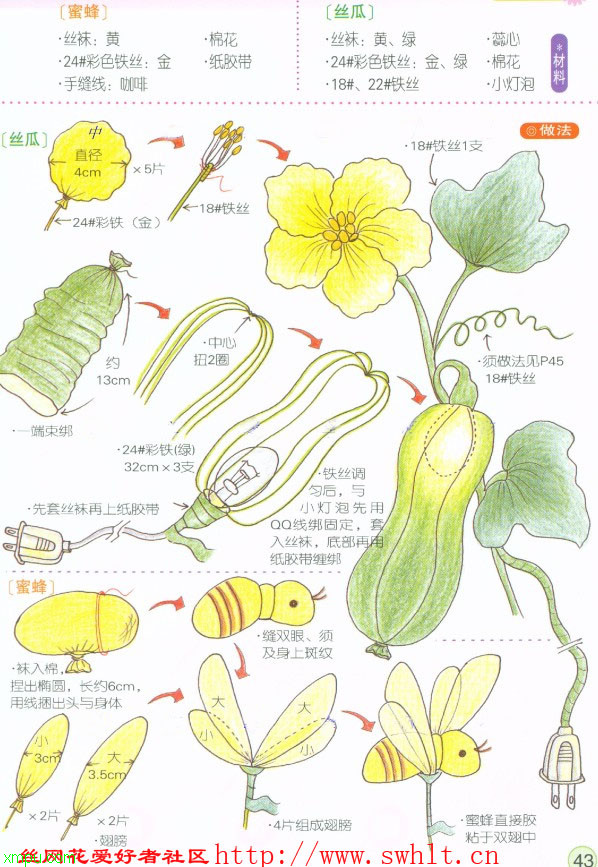 多肉植物图鉴