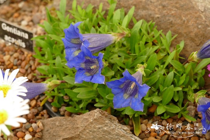 汉中油菜花在哪个县