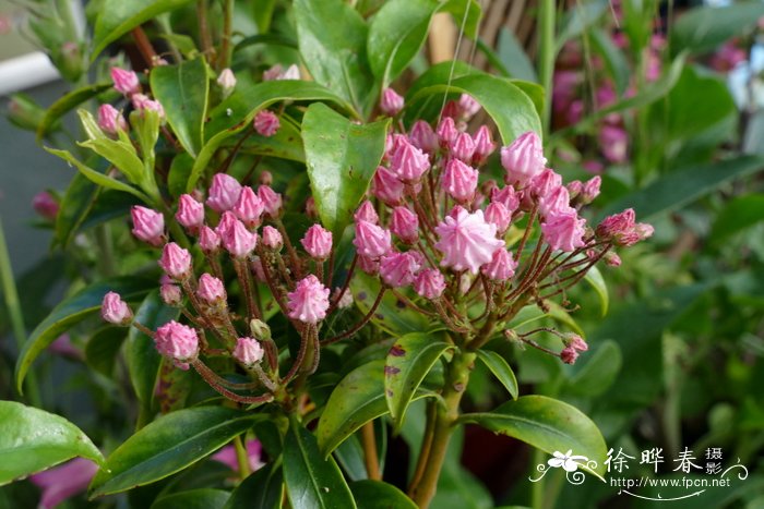 冬季植物浇水