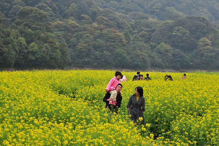 山莓