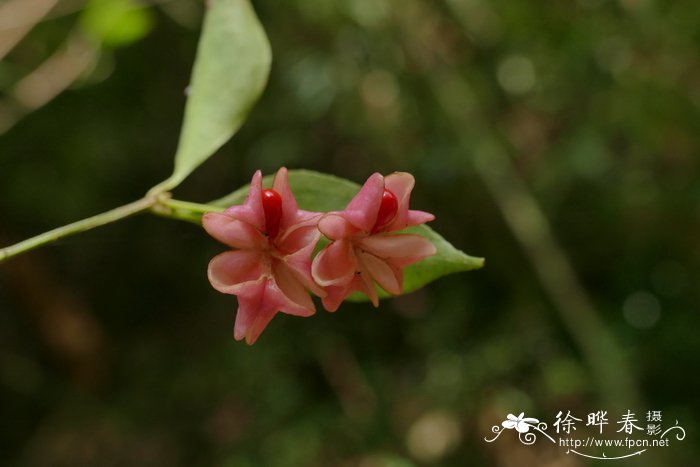 女装批发市场