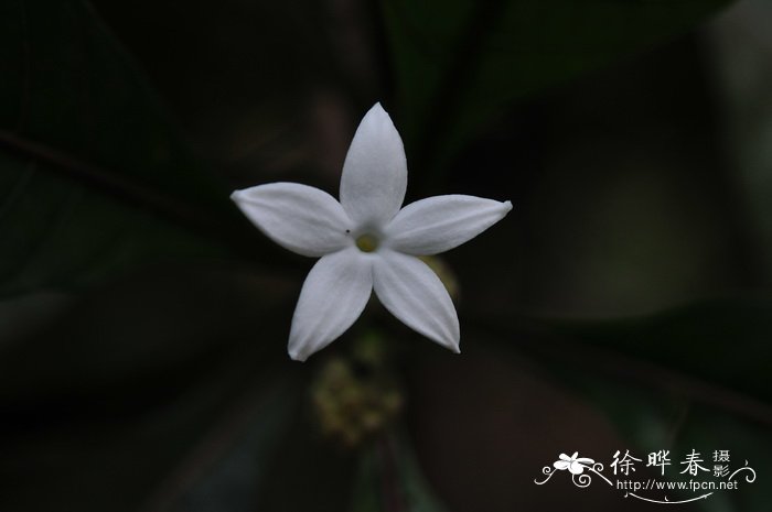 草长莺飞是什么季节