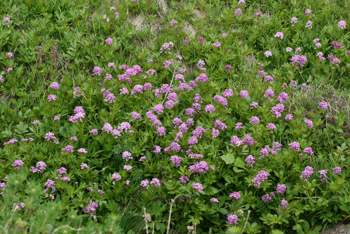 临沂批发市场