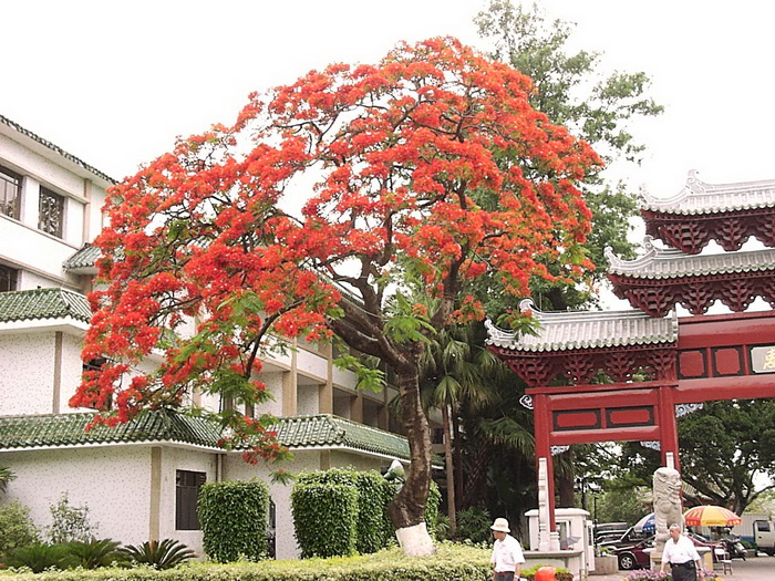 深圳天长地久