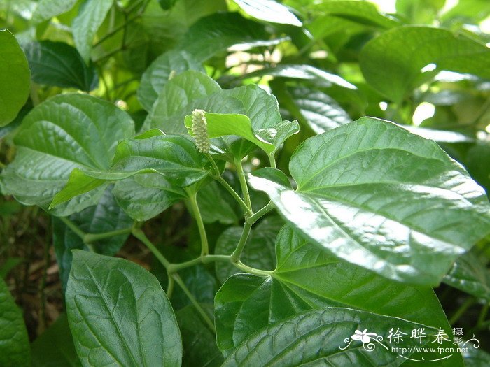 2019土地流转补偿标准