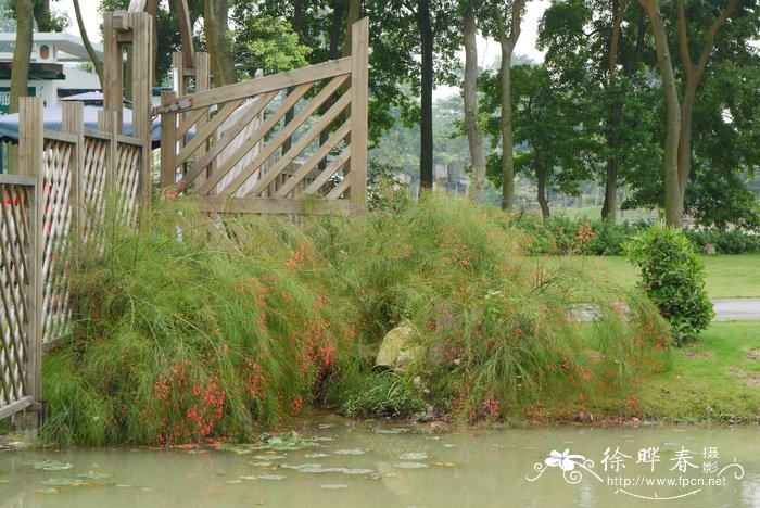 雷达手表