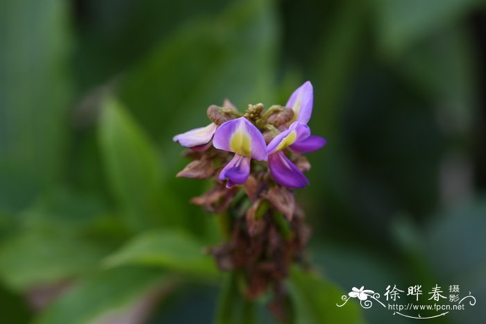 种植业什么最赚钱