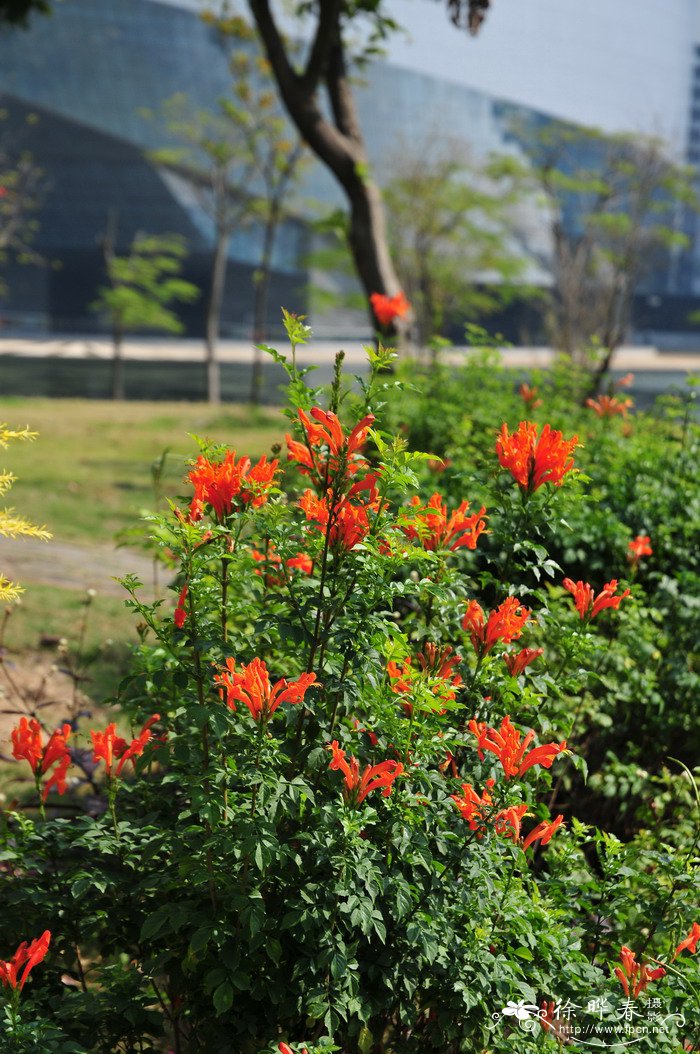 家居设计图片