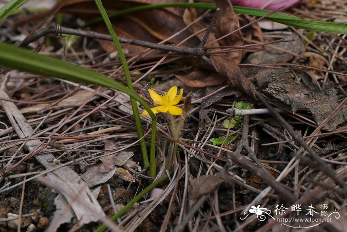 苹果价格表今日价格