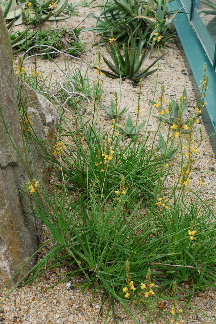 苹果价格表今日价格