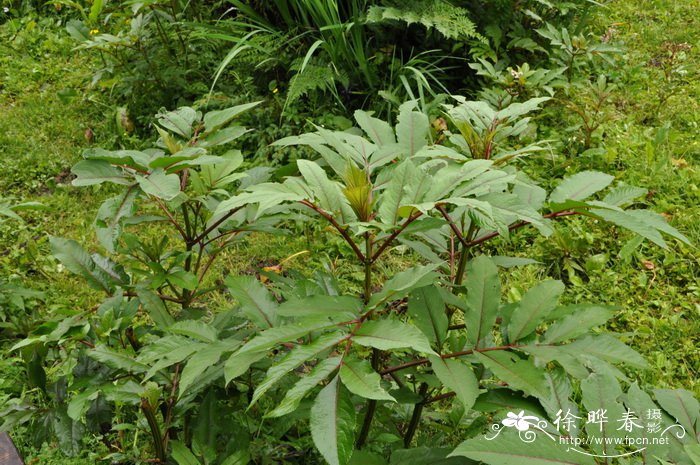 北京罗马风情婚纱摄影