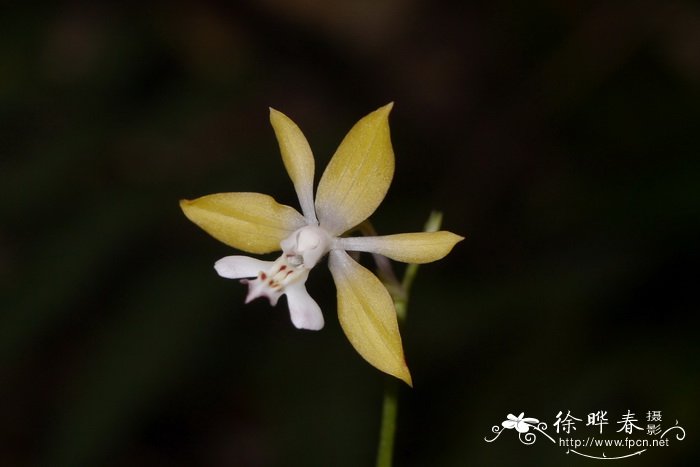 沈阳婚纱照