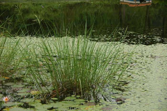 淘师爷