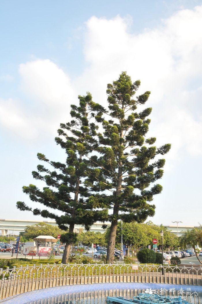 北京花海阁婚庆