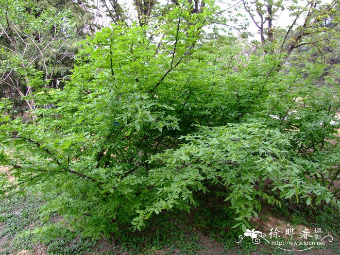 给花浇水什么时间最好