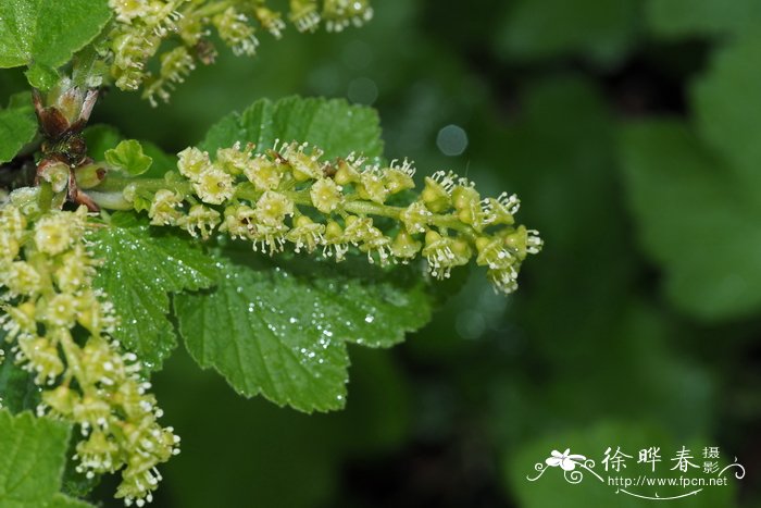 生物多样性保护规划