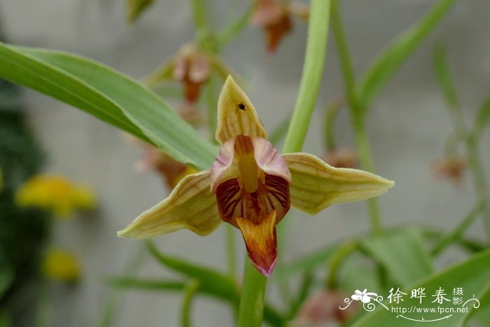 教师节送老师什么