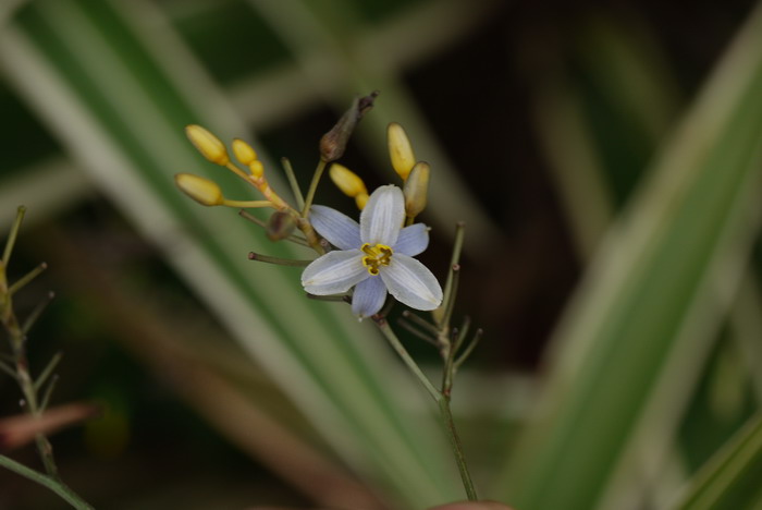 教师节送老师什么