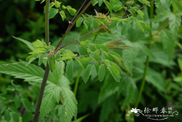 湿度多少合适