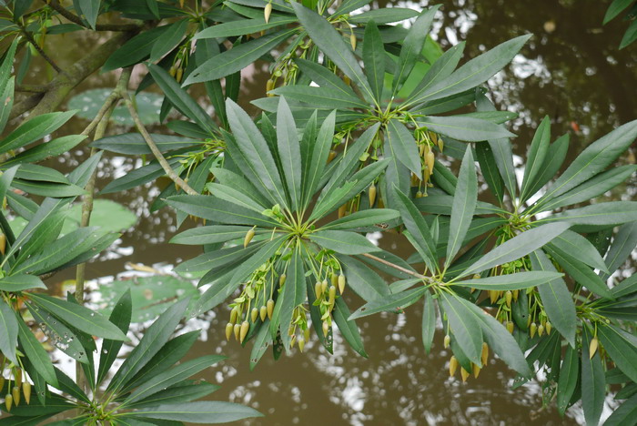 临沂批发市场地址