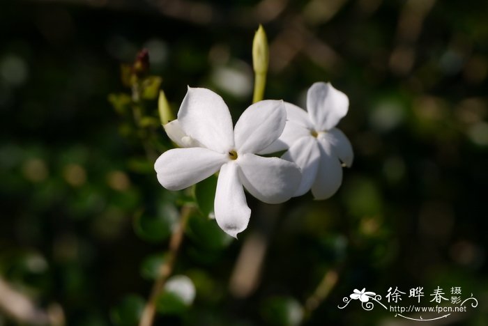 山东临沂批发市场大全