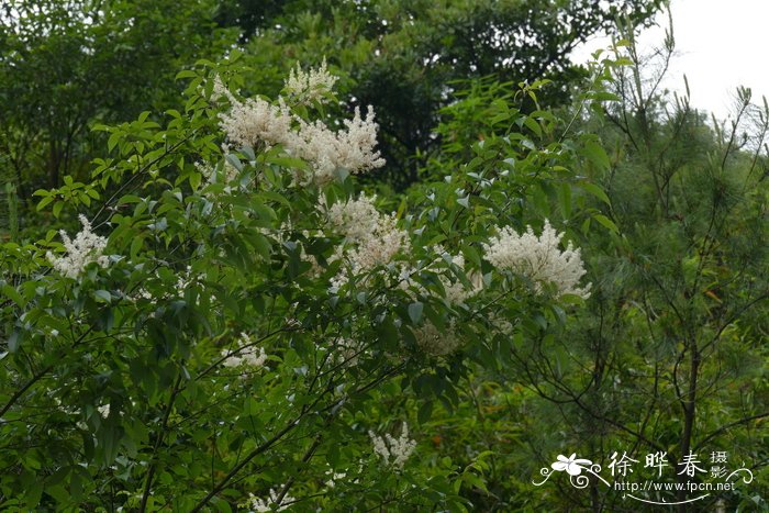 多肉植物什么季节种比较好