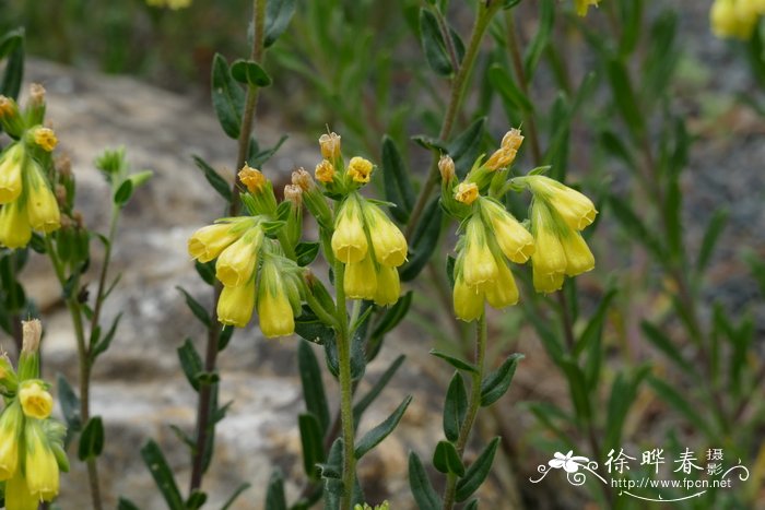 苹果价格表今日价格