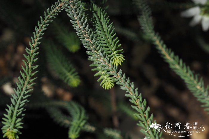 浙江普陀山