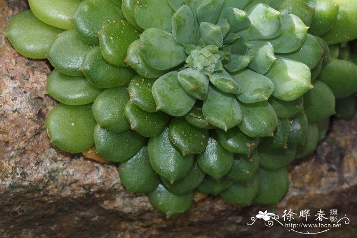 深圳港龙医院