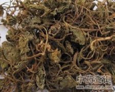 沙漠玫瑰的修剪方法图