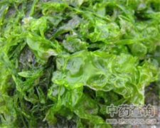 水仙花长什么样