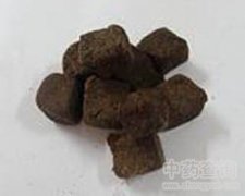 白皮松4米价格