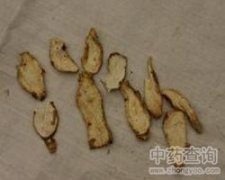 银杏叶的寓意和象征