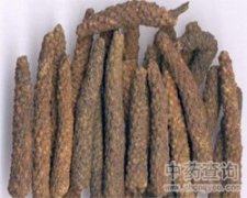 白蜡树种子